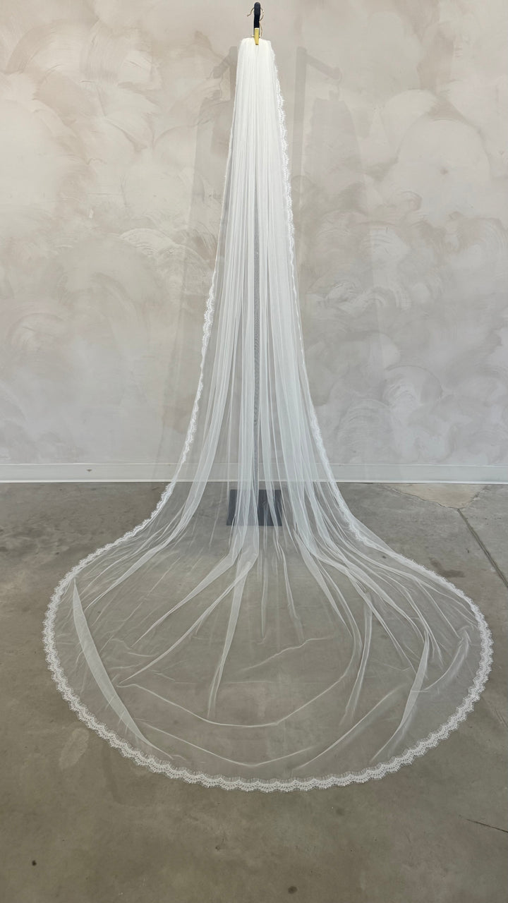 PETITE- Lace Edge Veil