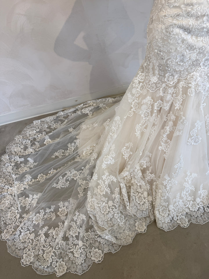 Size 08 | Alba by Allure