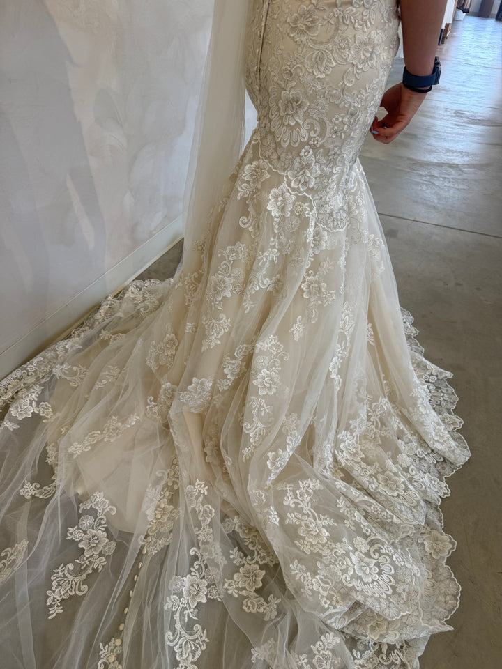 Size 08 | Alba by Allure