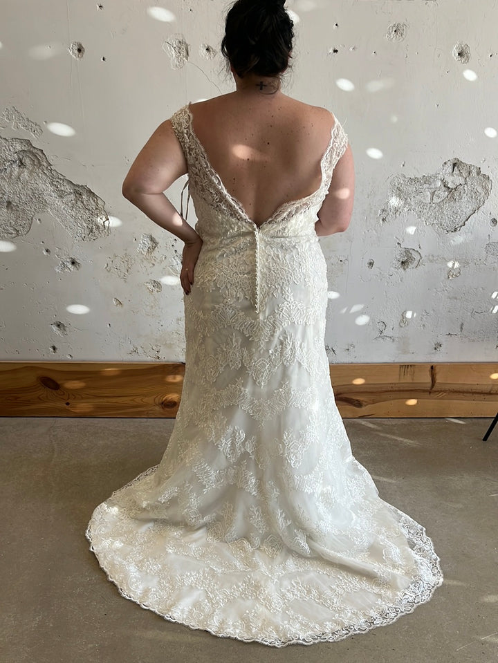 Tag Size 24 | Mia Solano
