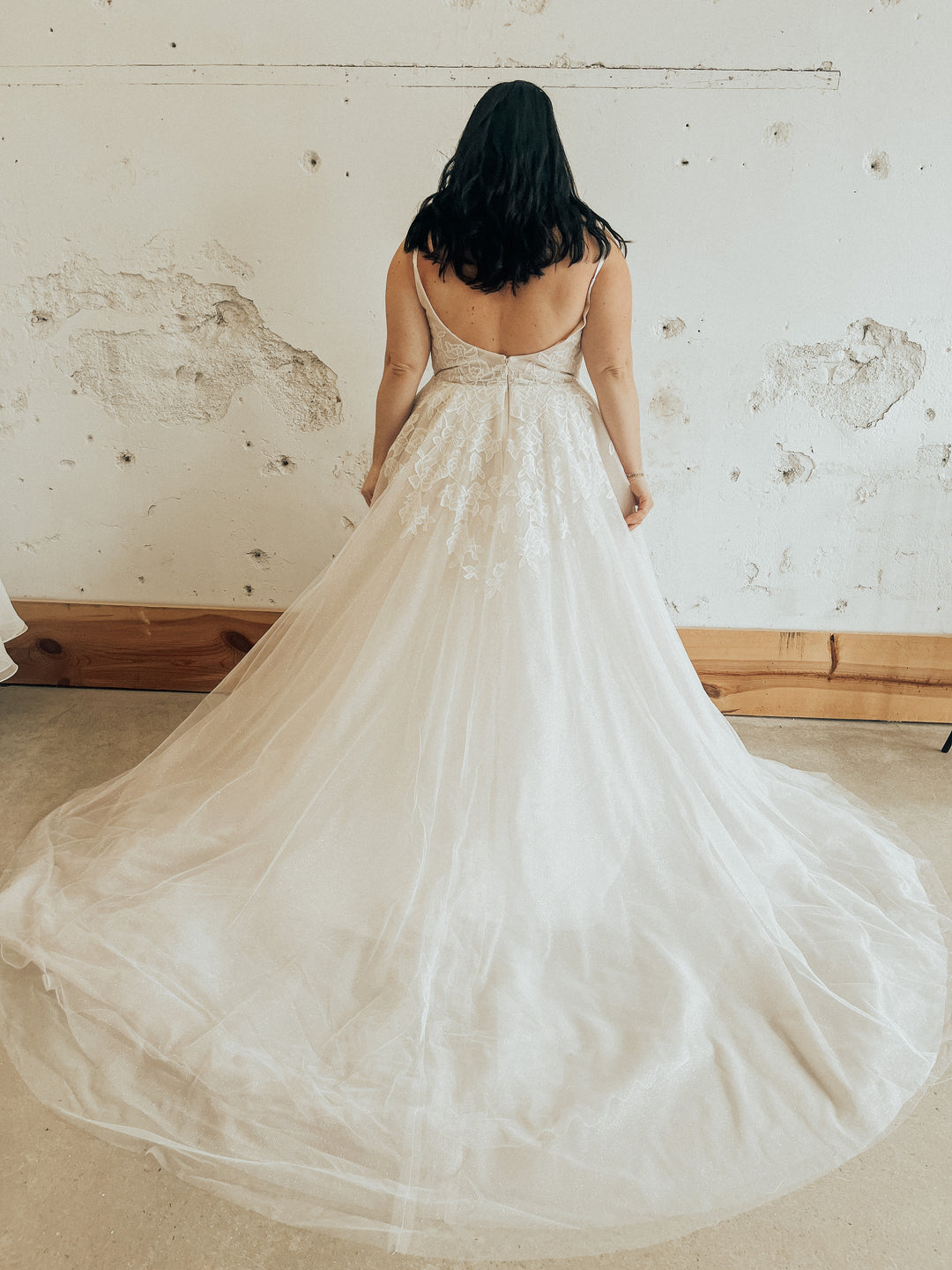 Tag Size 24 | Haley Paige